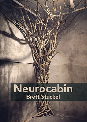 Cover of Neurocabin. A photograph of a tall, expanding weave of bittersweet vines. It stands in the corner of an industrial studio against a cement wall, below piping. The color is naturally grey-tan with heavy shadows. Charlie Baker of Baker Workshop (NY) made the sculpture and took the photo. He has generously allowed us to use the image.